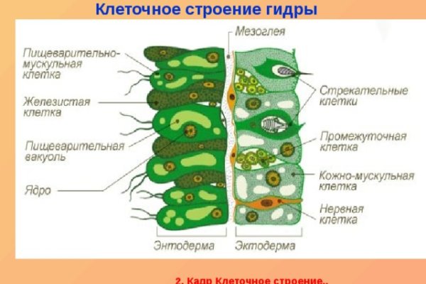 Кракен актуальное зеркало 2kmp