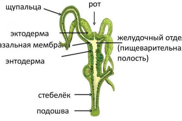 Ссылки кракен 2024